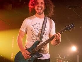 Pigeons Playing Ping Pong